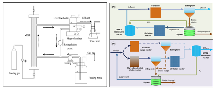 202009291804439256 202009291804439256