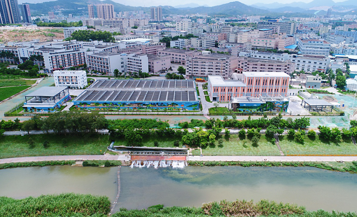 202007281454163905 202007281454163905