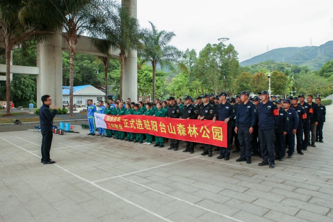 图片3 图片3