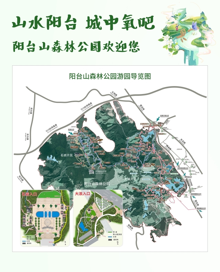 图片8 图片8