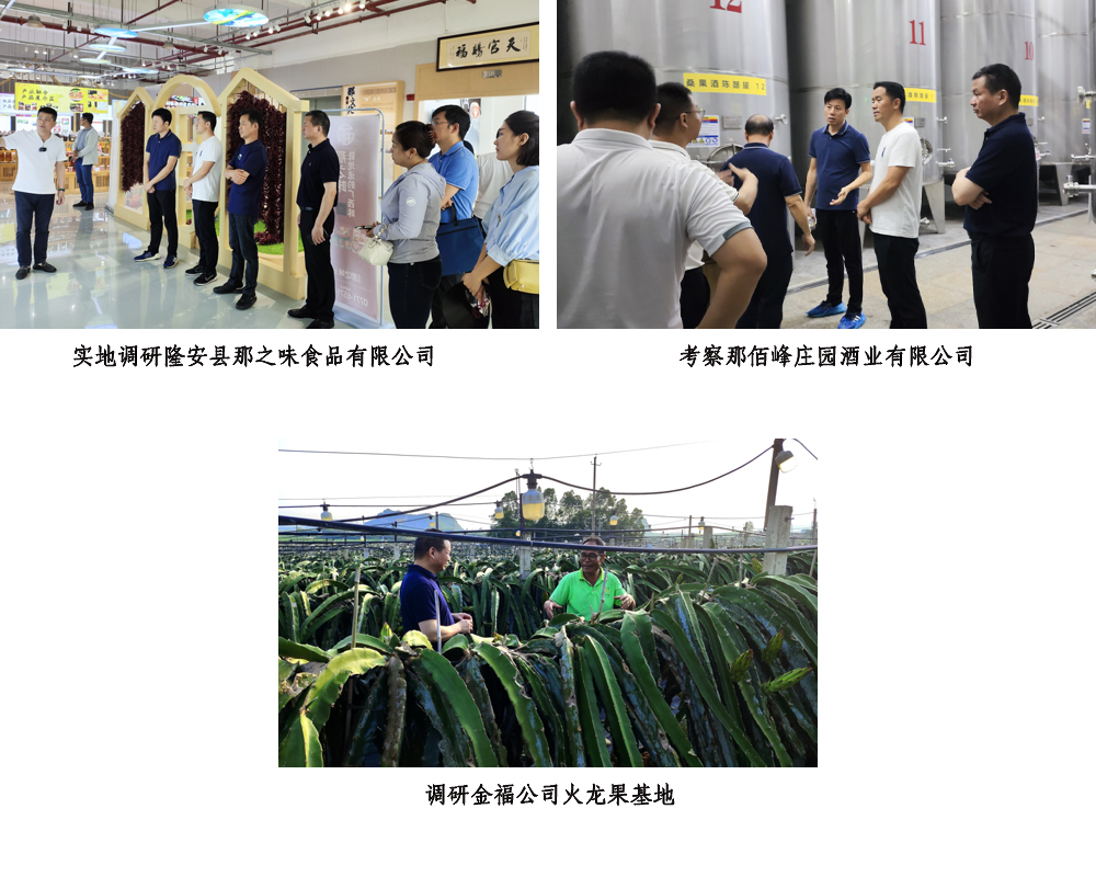 未标题-1 未标题-1